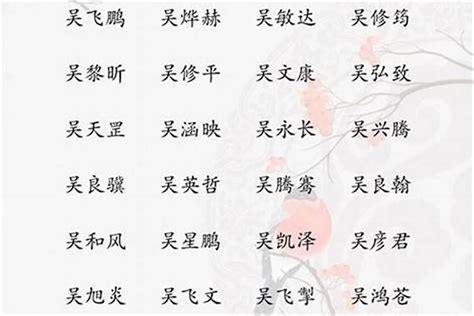 吳姓取名|吳姓寓意好的男孩名字（精選200個）